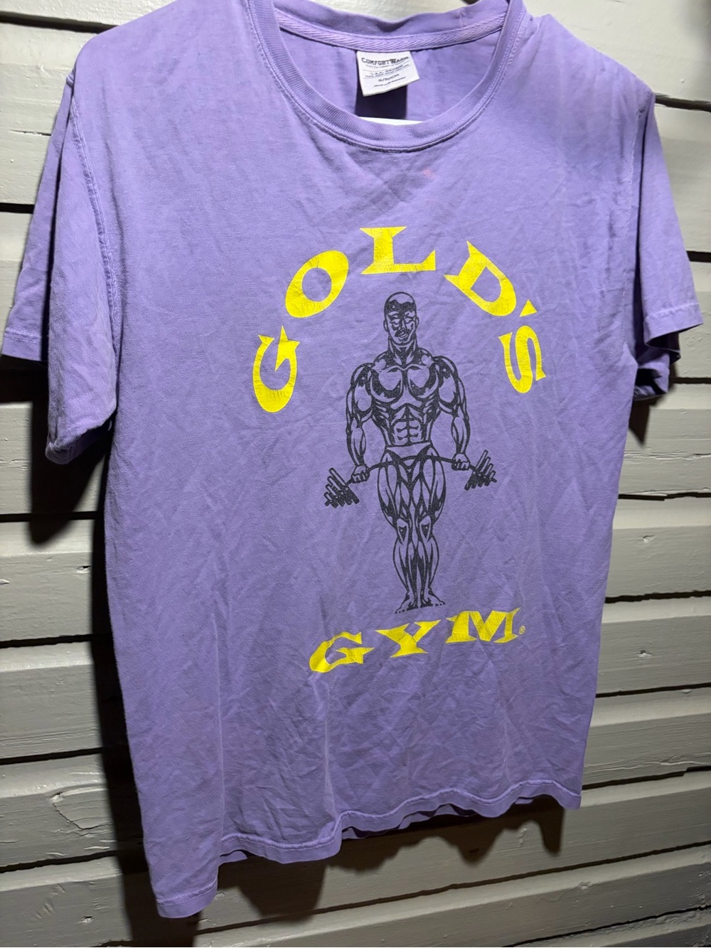Vintage Golds Gym Retro Y2k Comfort wash brand t shirt size small